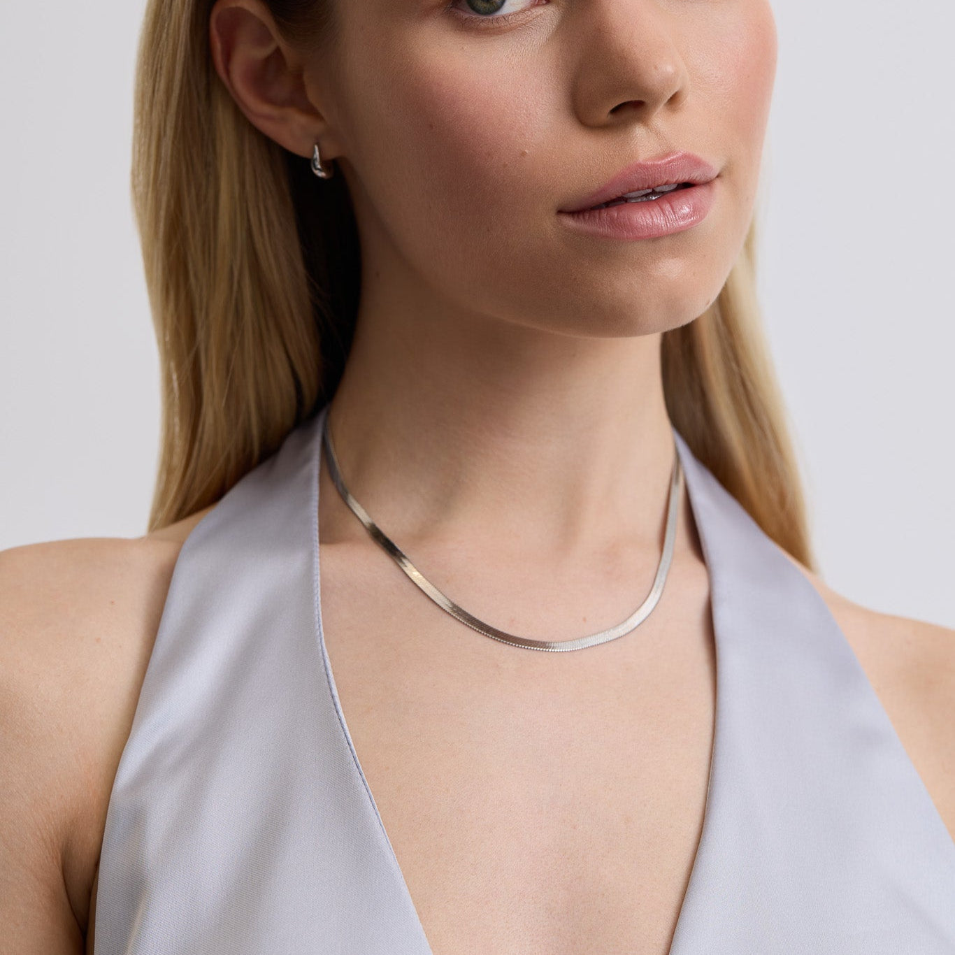Essentials Snake Chain Necklace