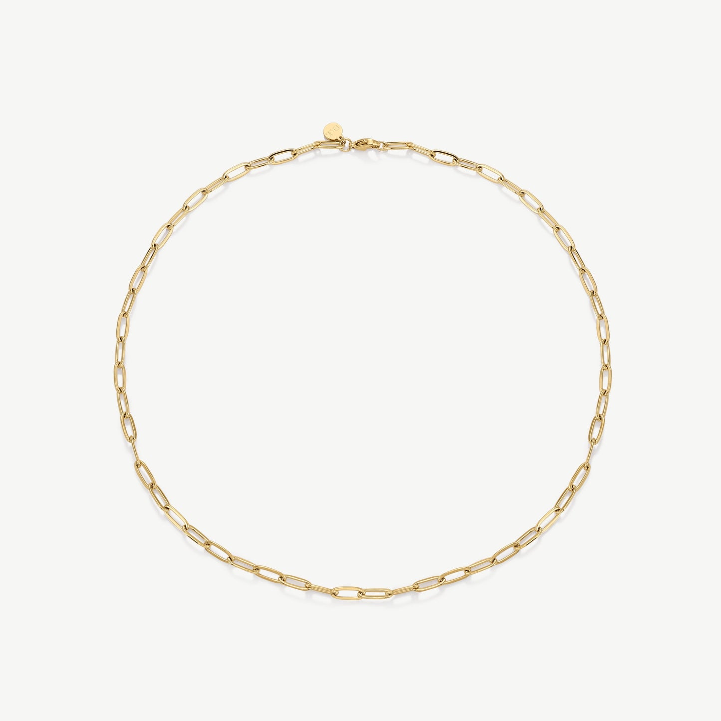 Paperclip Necklace
